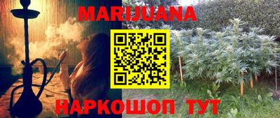 прущие грибы Канаш