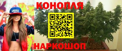 прущие грибы Канаш