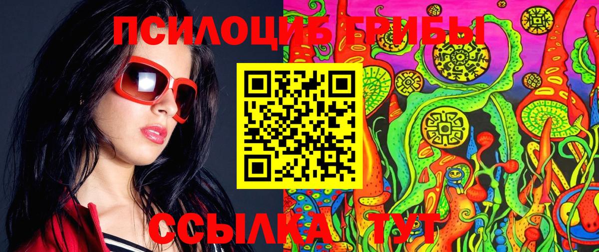 Галлюциногенные грибы Psilocybe Киров