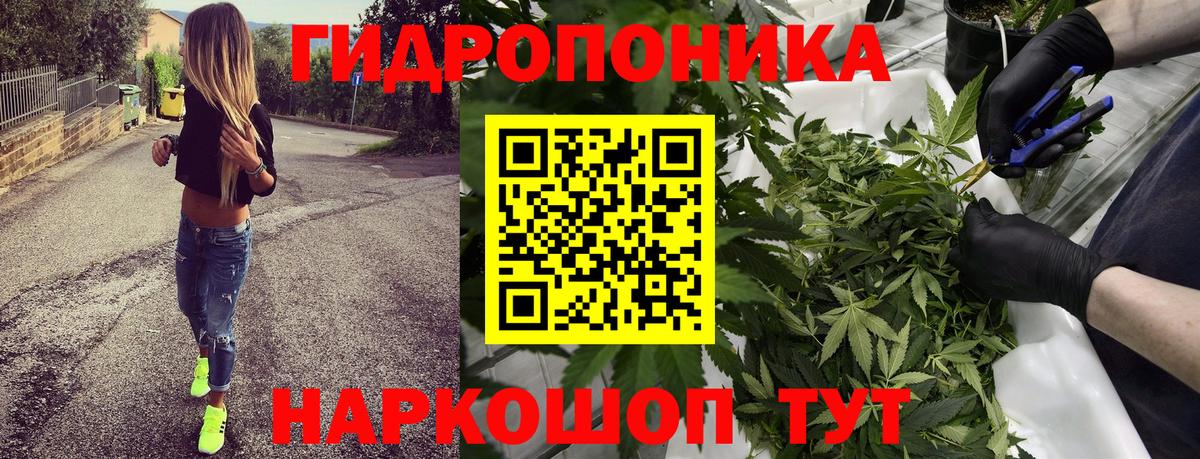 Конопля семена  Бошки Шишки AK-47  Бошки марихуана тримм  Вход с VPN  Киров 