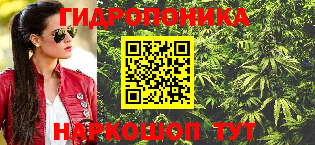 Бошки Шишки THC 21% Киров